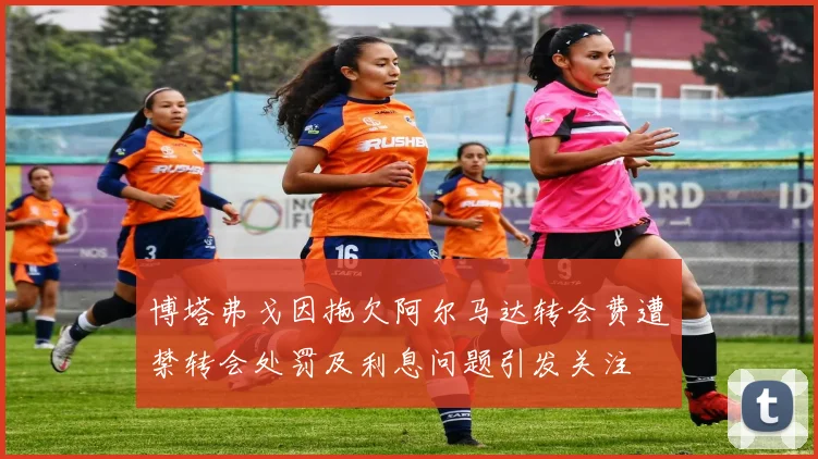 博塔弗戈因拖欠阿尔马达转会费遭禁转会处罚及利息问题引发关注