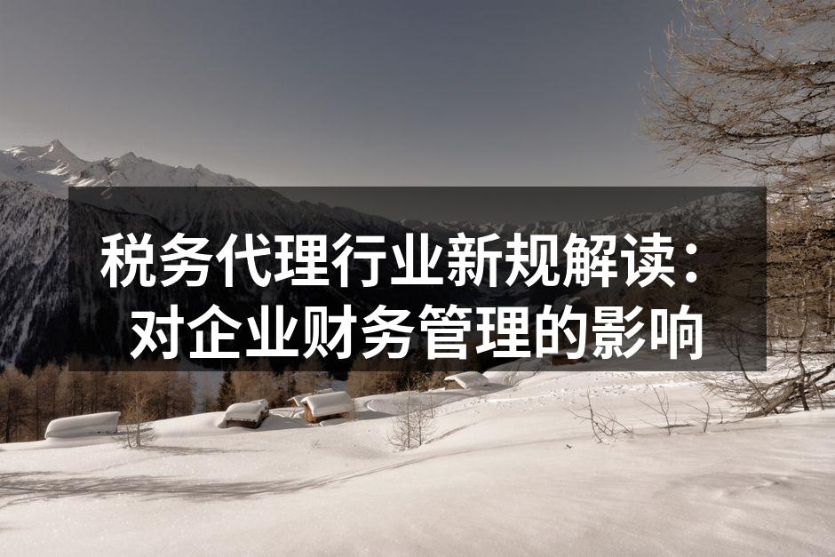 税务代理行业的新规解读