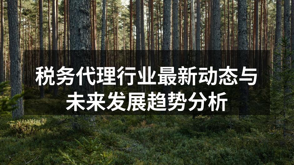税务代理行业动态