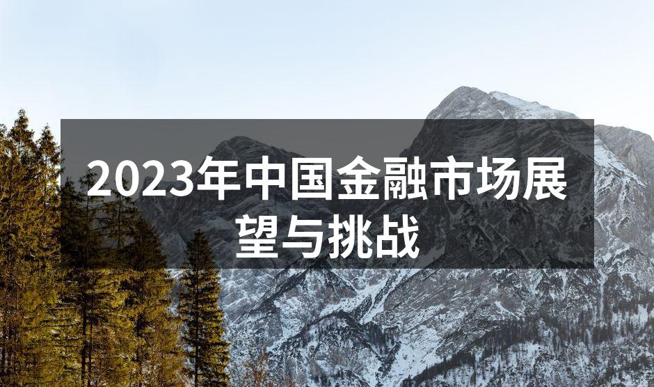 2023年中国金融市场分析
