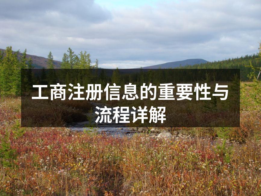 工商注册流程示意图