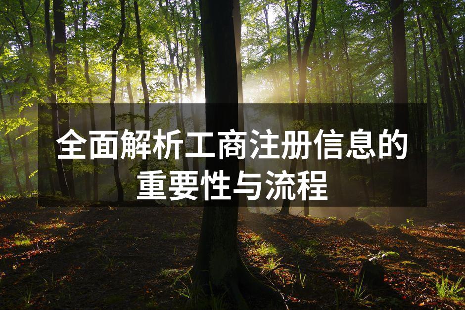 工商注册流程示意图