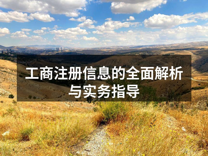 工商注册流程图解