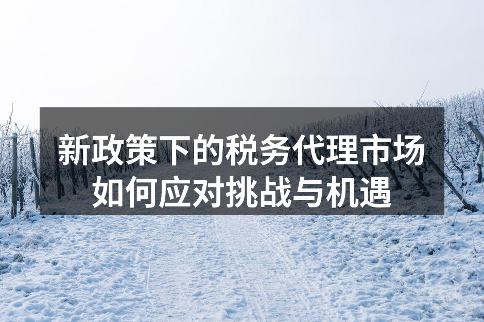 税务代理服务流程示意图