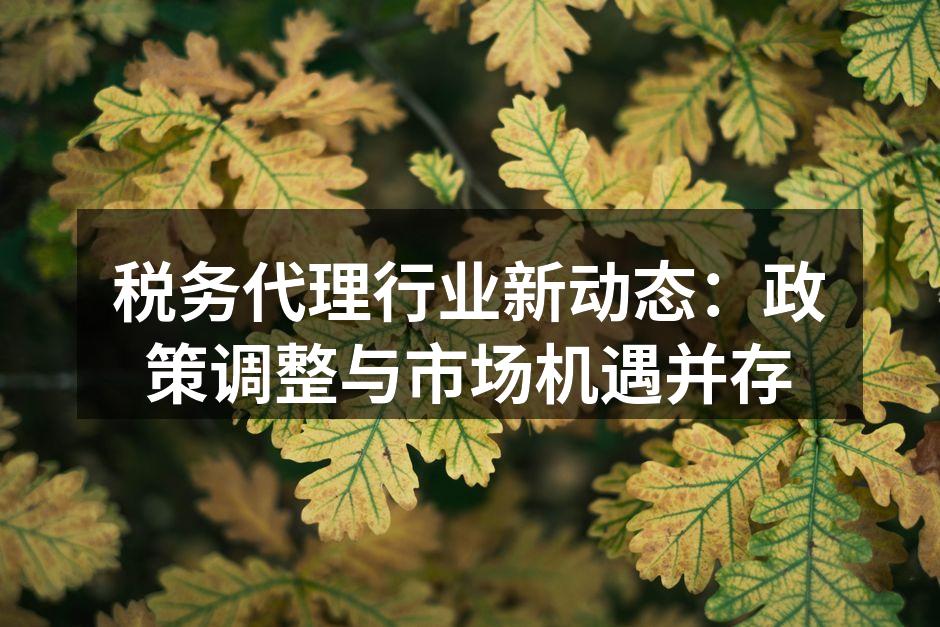 税务代理服务的市场前景