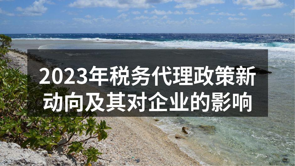 新税务政策解读