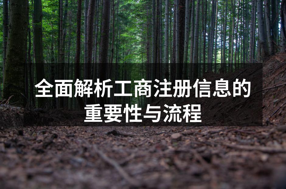 工商注册信息的示例